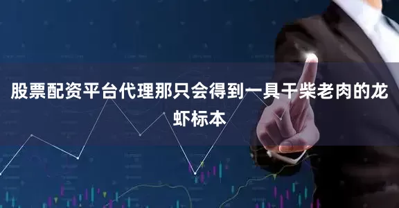 股票配资平台代理那只会得到一具干柴老肉的龙虾标本